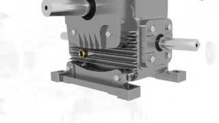 Worm Gearbox Worm Reduction Gear Box Worm Speed Reducer and Gear Motor Manufacturer [upl. by Ernald494]