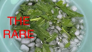 How to make the rare Margosa salad it’s healthy and delicious [upl. by Terzas]