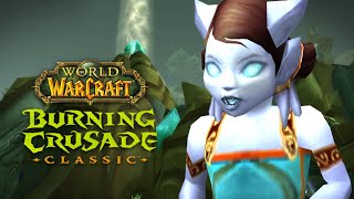 Denk an die Kinder  TBC CLASSIC WoW Lets Play 62 [upl. by Odareg]