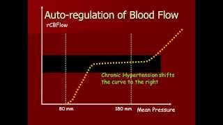 Autoregulation of Cerebral Blood [upl. by Oza]