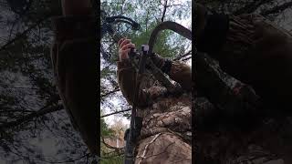 My First Crossbow Buck Left Handed [upl. by Lenny747]