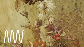 Flower Fairies exhibition  National Museums Liverpool [upl. by Knuth]