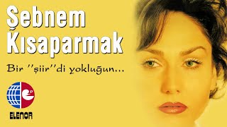 ŞEBNEM amp FATİH KISAPARMAK  SENİ SEVİYORUM  KLİP [upl. by Aseel]