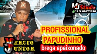 PROFISSIONAL PAPUDINHO [upl. by Ky432]