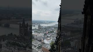 The insane view from Cologne Cathedral 🇩🇪 travel europe shorts [upl. by Bertero]