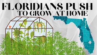 Floridas Push for Home Cultivation of Medical Marijuana A Million Signatures Goal [upl. by Areem]