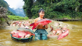 Harvesting A Lot Of Fish At Mud Pond Goes to market sell  Cooking fish  Phuong Daily Harvesting [upl. by Cardew773]