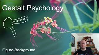 MerleauPonty Phenomenology of Nature Key Concepts part 6 gestalt psychology [upl. by Bastian]