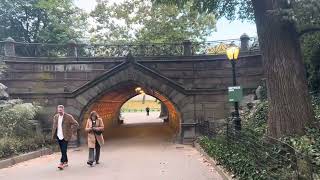 Autumn Walk Thru Central Park’s Greywacke Arch [upl. by Yanad932]