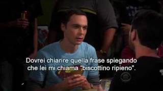 The Big Bang Theory Sheldon Vs Will Wheaton [upl. by Aihsel]