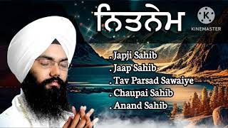 Nitnem Sahib full path  Bhai Manpreet Singh Kanpuri kirtan singh gurbanikirtan gurbani music [upl. by Nylakcaj]