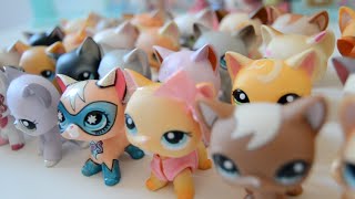 All Of My Littlest Pet Shop Shorthair Cats [upl. by Assirrem]