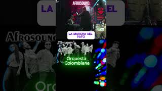 La marcha del Pato  Afrosound [upl. by Aiak]