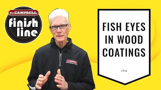 How to Avoid Fish Eyes in Wood Finishing Projects Get Rid of Fish Eyes Video [upl. by Frame]