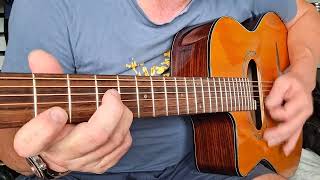 Aiersi French Gypsy Jazz Guitar [upl. by Latimore757]