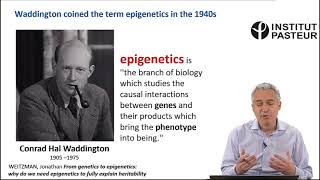 Conrad Hal Waddingtons Concept of Epigenetics The Origin and the Metaphor of the Landscape [upl. by Yenal]