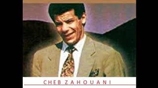 Cheb Zahwani الشاب الزهواني شيبني الغزال [upl. by Celie]