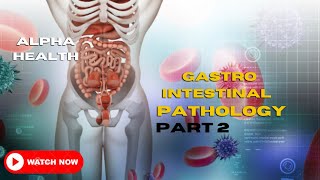 Pathology Gastrointestinal Pathology Part 2 in Amharic [upl. by Pontone426]