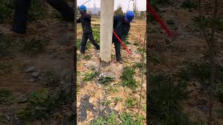 Hammer down transformer pole process Good tools and machinery make work easy [upl. by Enelrac]