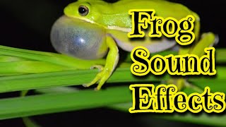 Frog Sound Effects [upl. by Aubert]