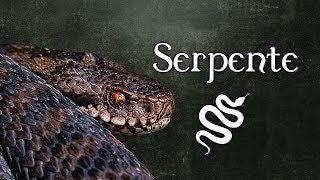 12  La Magia del Serpente Simbologia Sogni e Medicina Sciamanica [upl. by Danyluk815]