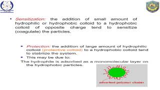 colloids 21Stability of colloidal Sol [upl. by Jaenicke]