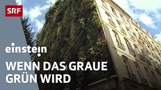 Stadt und Natur – Visionen für eine ökologische Stadtentwicklung  Einstein  SRF Wissen [upl. by Lasonde]