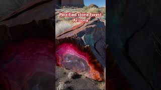 Petrified Forest Park in Arizona stone [upl. by Tirrag]