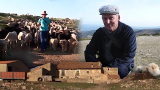 Oficios y trabajos tradicionales de una FAMILIA EN EL MONTE Los Mengod  Documental [upl. by Michi224]