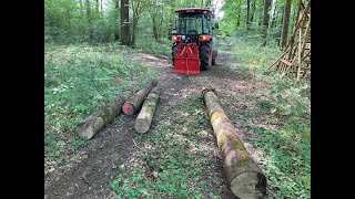 Forstseilwinde Königswieser KGD 300 M  Erster Einsatz [upl. by Mindi]