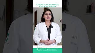 ¿Cuáles son las Causas de la Prostatitis Aguda Bacteriana [upl. by Ettenahc]