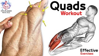 6 Easy Exercises Quadriceps Workout  Leg Day [upl. by Fern918]