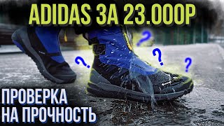 Зимние кроссовки за 23000  Adidas Terrex Free Hiker Почему так дорого [upl. by Initsed]