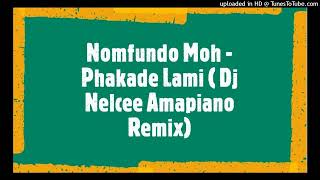 Nomfundo Moh  Phakade Lami ft Sha Sha amp Ami Faku  Dj Nelcee Amapiano remix [upl. by Iridis]