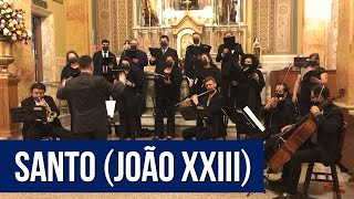 Santo Missa João XXIII  com letra [upl. by Eehsar]