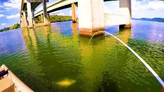 Catching Catfish Under Bridges  Bottom Bumping [upl. by Uella]