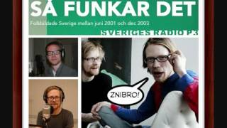 Så Funkar Det  P3  Badbyxor I Bastun [upl. by Uba283]