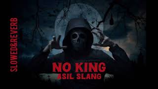 Asil Slang  No King 👑 SlowedampReverb [upl. by Aliekat723]