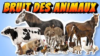 APPRENDRE le  bruit des ANIMAUX  de la ferme Pour BÉBÉ [upl. by Shaine20]