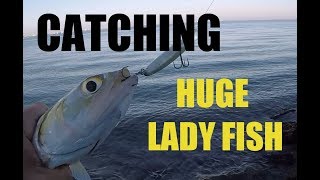 Catching Big Gigantic Lady Fish From Shore on Lures [upl. by Durer]