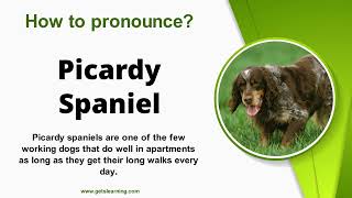 How to Pronounce Picardy Spaniel in English Correctly [upl. by Ximenes]