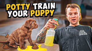 Puppy Training  How To Potty Train A PUPPY In 5 Minutes [upl. by Luciano720]