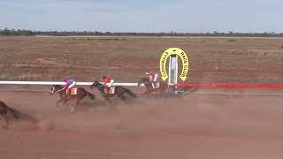 cunnamulla 25042024 race 5 [upl. by Ecenahs]