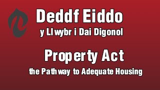 Deddf Eiddo Y Llwybr i Dai Digonol [upl. by Akinet217]