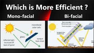 Monofacial vs Bifacial Solar Panel  Result from Jinko Datasheet [upl. by Engamrahc]