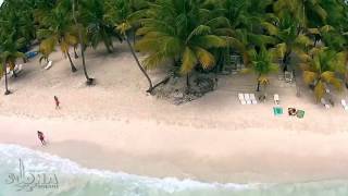 Abanico Beach at Saona Island Dominican Republic [upl. by Jennine]