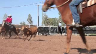 Dualin Pepto amp Drew Stevenson Mitchell Livestock Snaffle Bit Cutting [upl. by Assirralc]