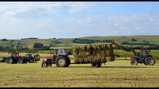 Cumbrian Hay 2024 Full haymaking operation with classic International CaseIH amp MF team [upl. by Nyllek]