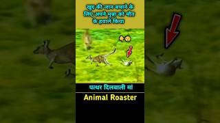 आखिर में मुन्ना ने सबको चौकाया 😯 dog following kangaroo shorts kangaroo dog [upl. by Ahsinit]