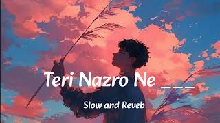 Teri Nazaro Ne Dil K a Kiya Jo Asar SloweReverb Song song slowedandreverdsong lofimusic vira [upl. by Groveman]